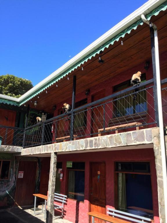Manakin Lodge, Monteverde Cr Екстериор снимка