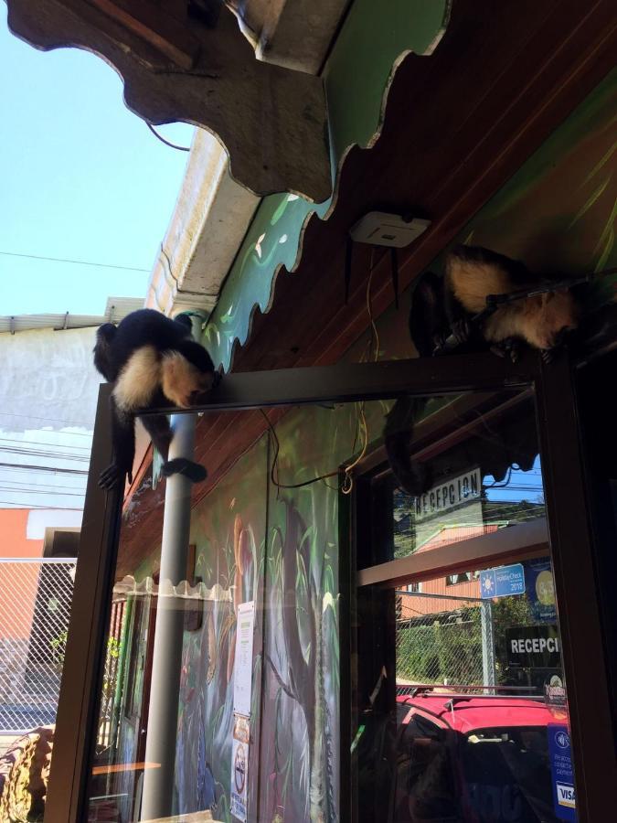 Manakin Lodge, Monteverde Cr Екстериор снимка