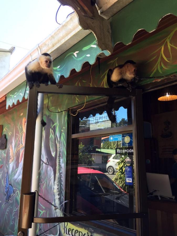 Manakin Lodge, Monteverde Cr Екстериор снимка